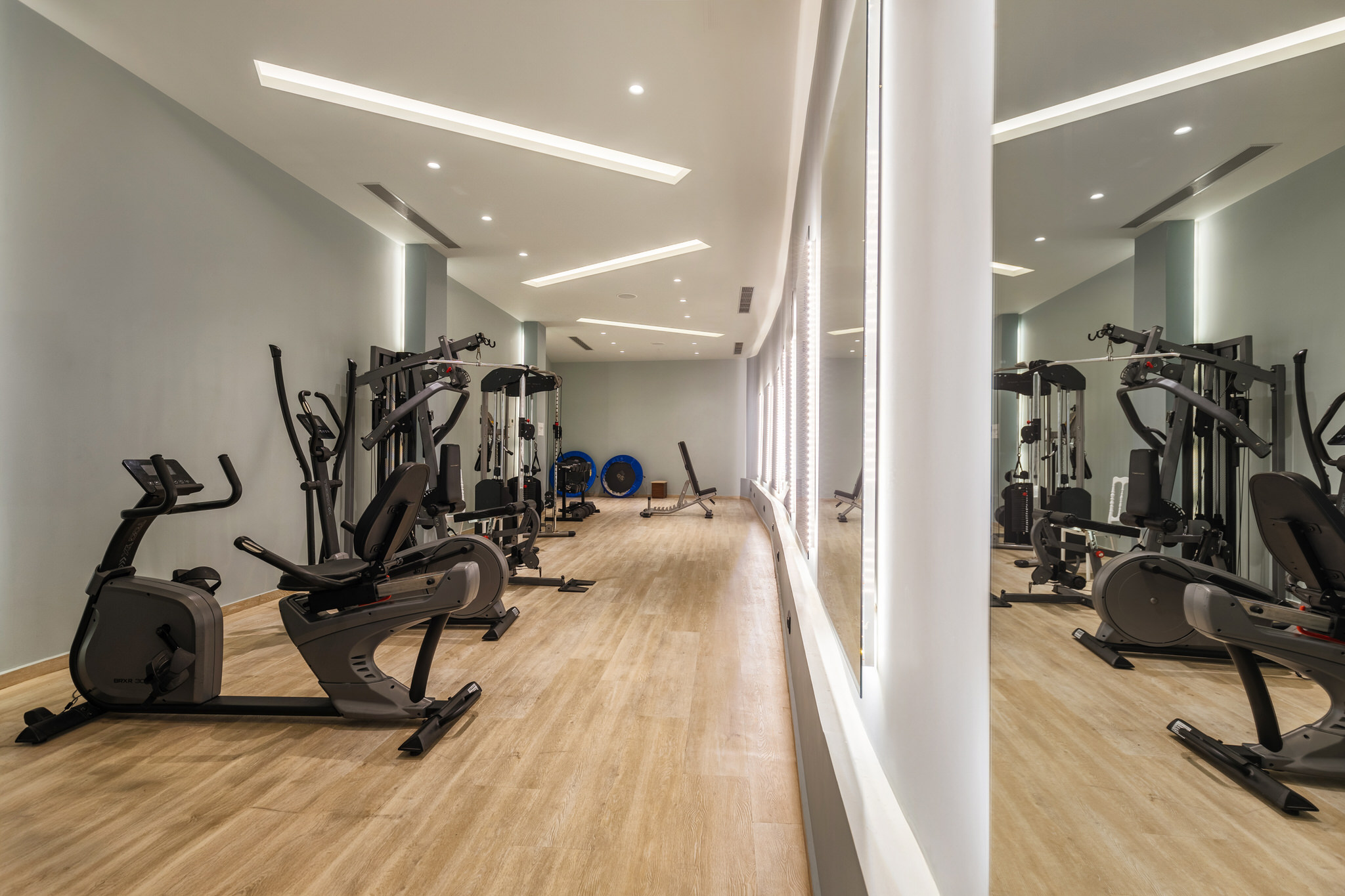 Wellness